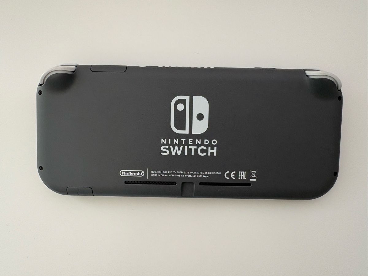 Nintendo Console: Nintendo Switch Lite Konsole Grau mit Netzteil – Nuovo (secondo la descrizione) da Neuhausen am Rheinfall venduto da Arual1214 1