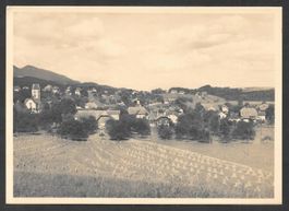 Flumenthal Generalansicht