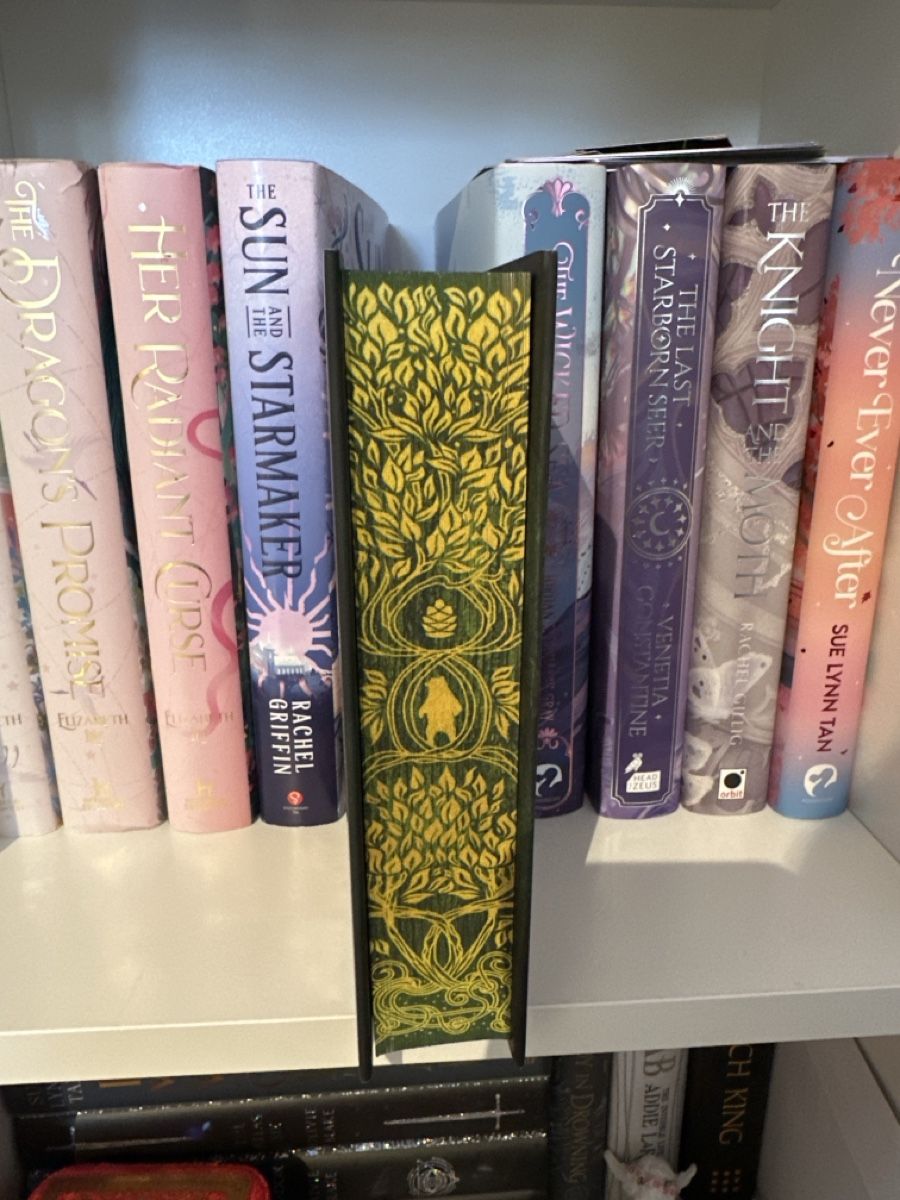 Libri: After the forest Kell Woods Illumicrate – Usato da Chur venduto da cav_qqm5 1