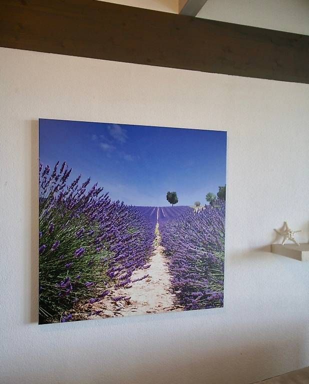Foto & Immagini: Leinwandbild "Lavendel" Unikat – Usato da Ganterschwil venduto da Bfishbone