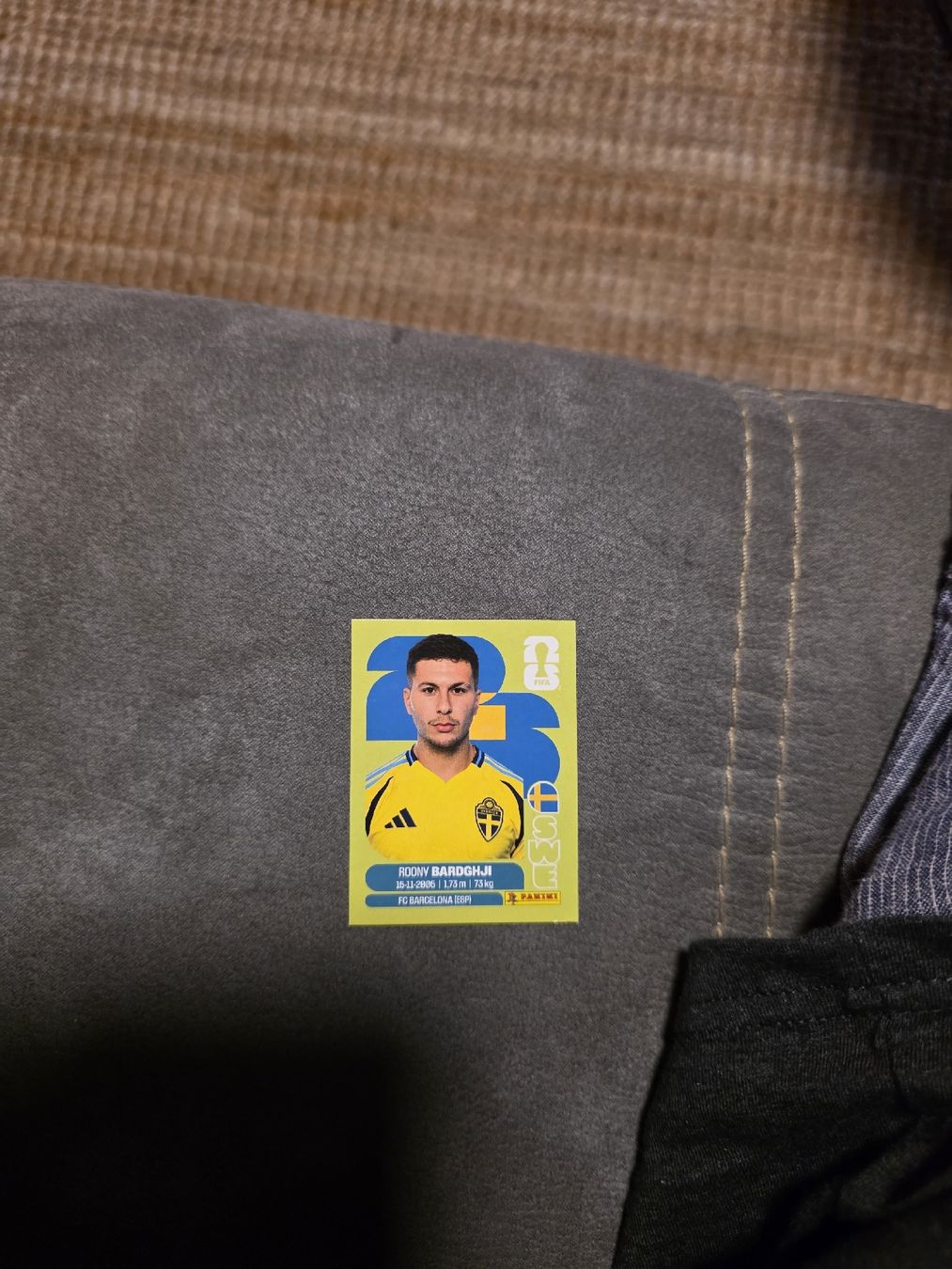 Panini Carte collezionabili: Panini WM 2026 SWE 16 Bardghji – Nuovo (secondo la descrizione) da Romanshorn venduto da leeh78