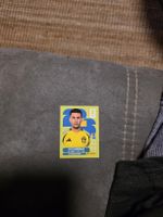 Panini WM 2026 SWE 16 Bardghji
