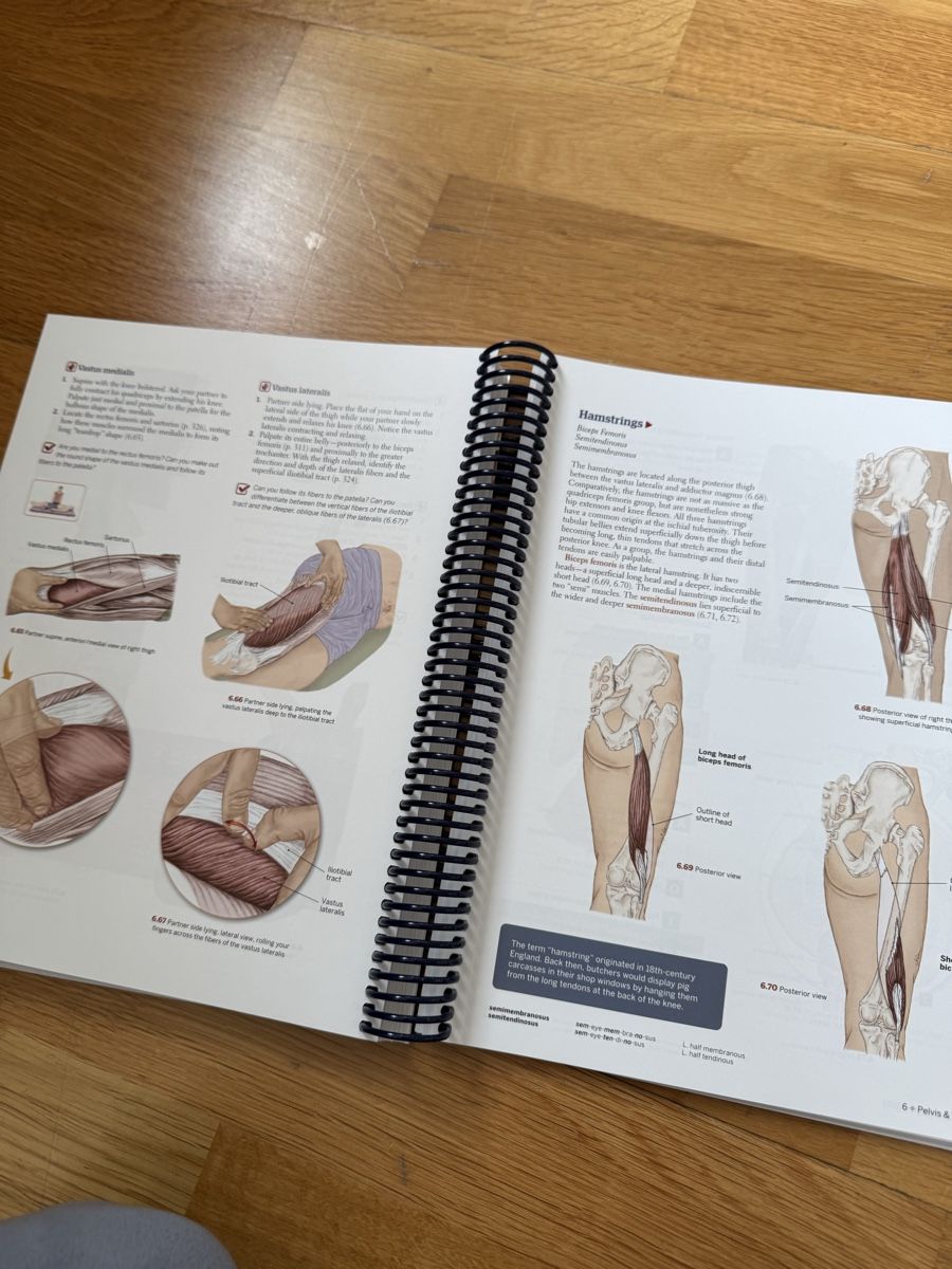 Libri: Trail guide to the body – Nuovo (secondo la descrizione) da Bern venduto da FashionK92 3