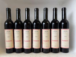 7 3/8 Flaschen🍷Top! Monticello Passioni 2003 Merlot Ticino