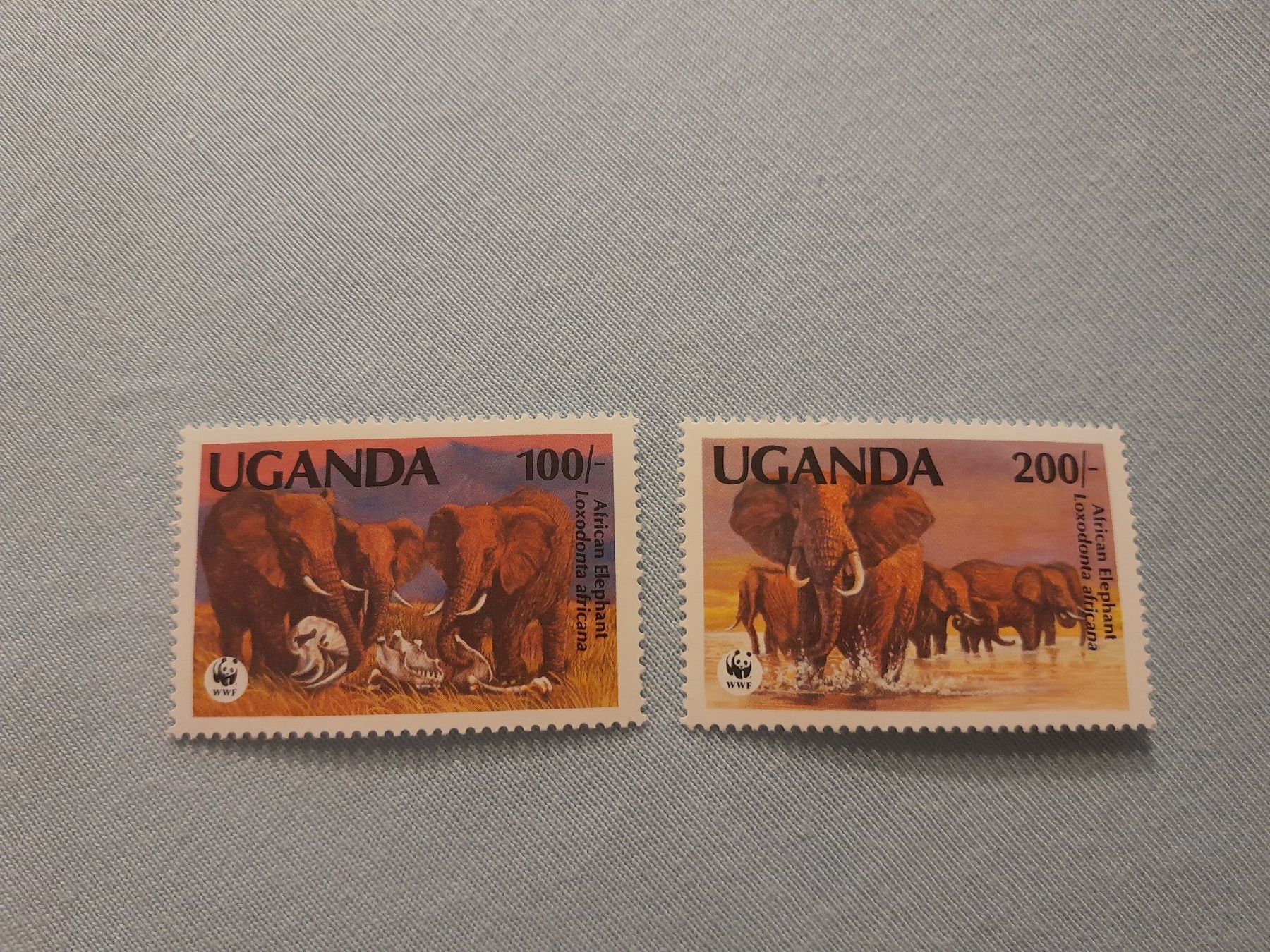 Tutti i francobolli: Uganda WWF Elefanten ** – Usato da Marly venduto da globetrotter1723