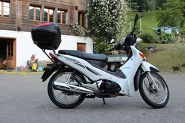 Honda ANF 125 Innova-Frisch ab MFK-2011-Top Zustand-14'875km