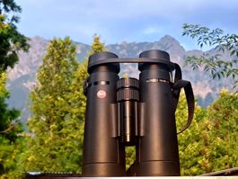 Fernglas Leica Ultravid 10x50 HD Plus