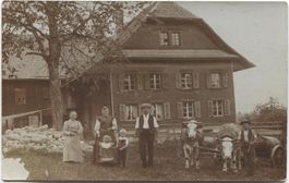 Landwirtschaft/Ochsen-Fuhrwerk 1910 Kanton LU?