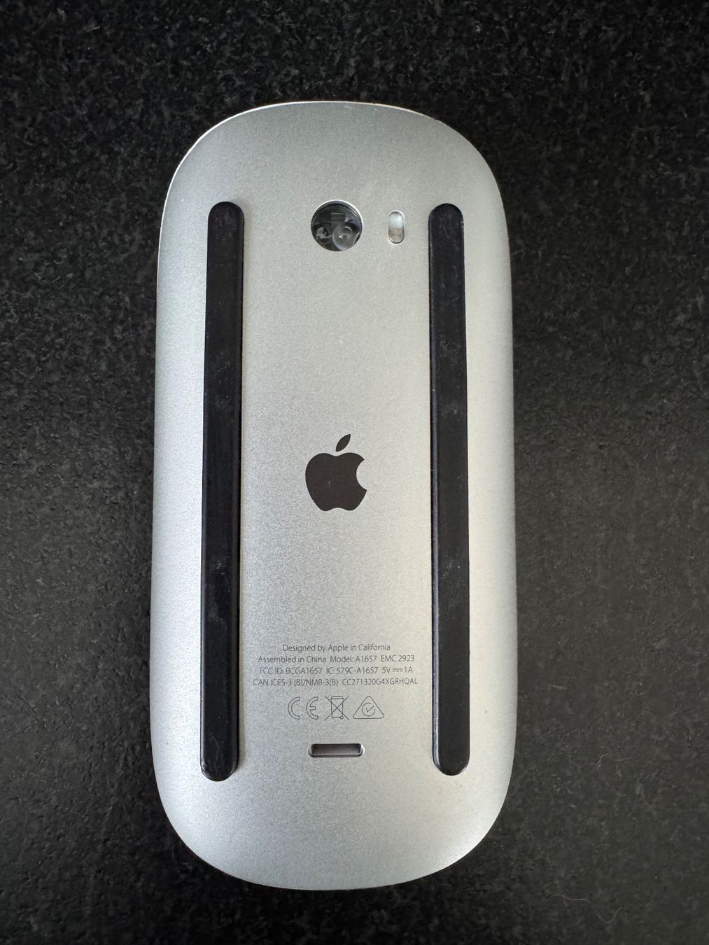 Apple Mouse: Apple Maus – Usato da Domat/Ems venduto da cowi 1