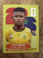 Panini RSA 14