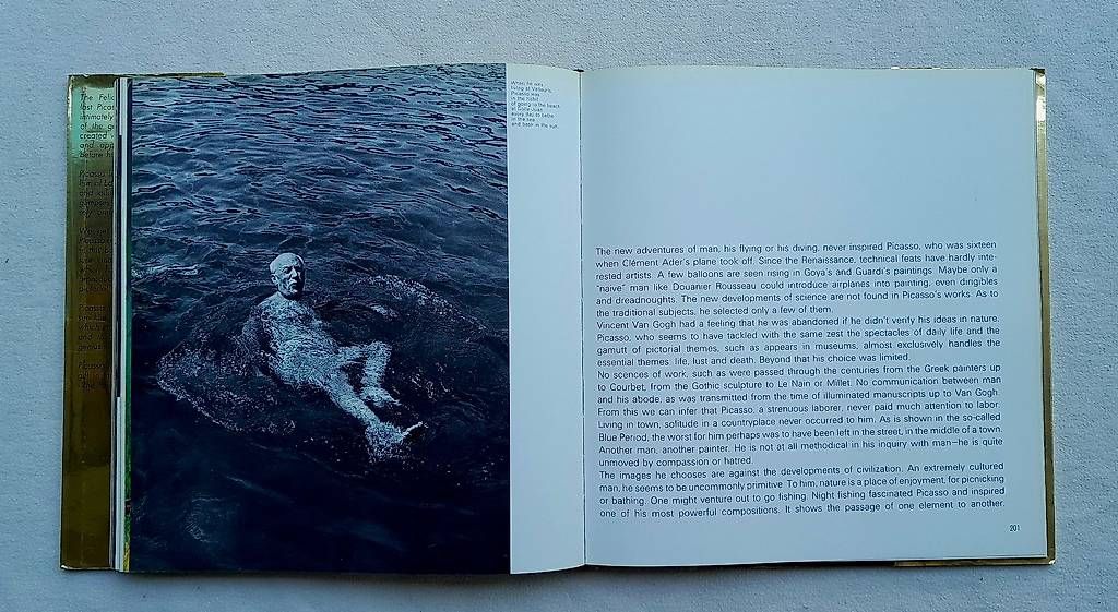 Libri: Picasso 'Felicie' – Usato da Samstagern venduto da Karibik64 4