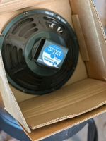 Jensen P10R 8 Ohm Alnico Gitarrenlautsprecher – 10"