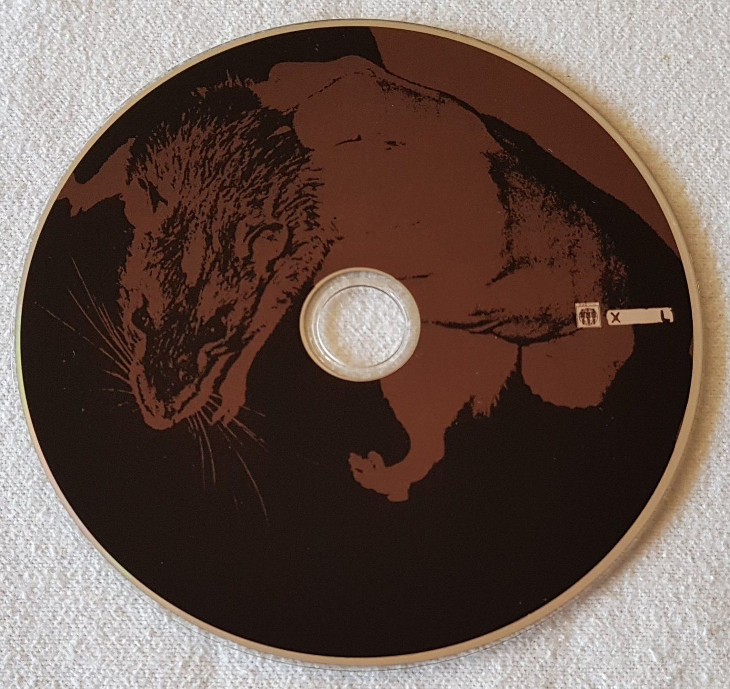 CDs: Whirlwind Heat – Do Rabbits Wonder? - CD - 2003 First Press – D'occasion à Uster par Zardodel 2