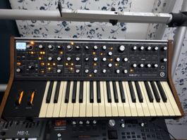 Moog Sub 37 Tribute Edition Synthesizer + flight case