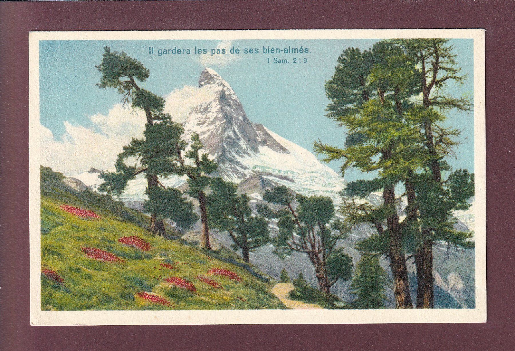 Cartes postales: CERVIN / MATTERHORN - Verset – D'occasion à Pully par nicecards