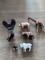 Schleich Raritäten