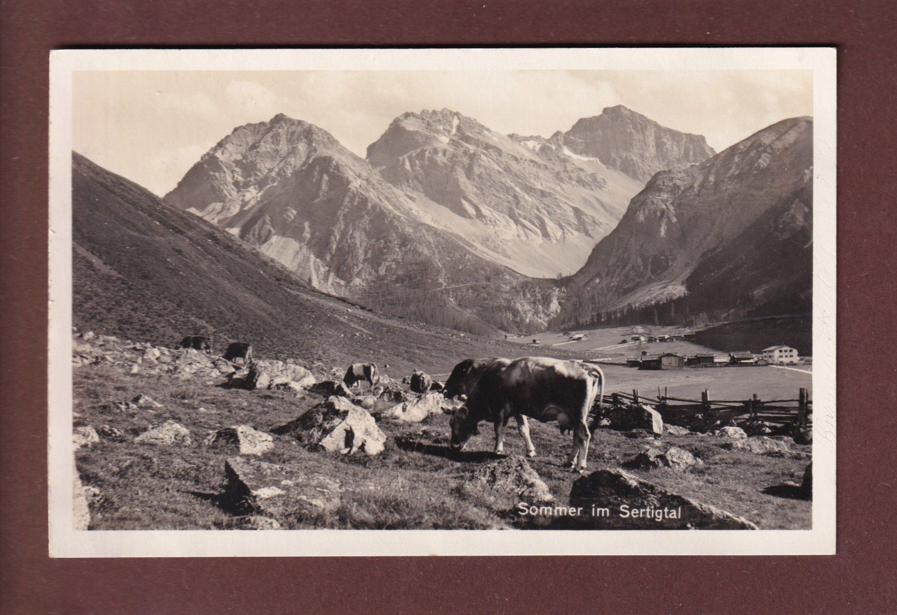 Cartoline postali: Sommer im SERTIGTAL - Kuh - 1930 – Usato da Pully venduto da nicecards