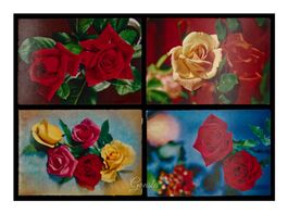 ROSES - 1960 "Cecami Italie" (Lot de 4x C.P.)