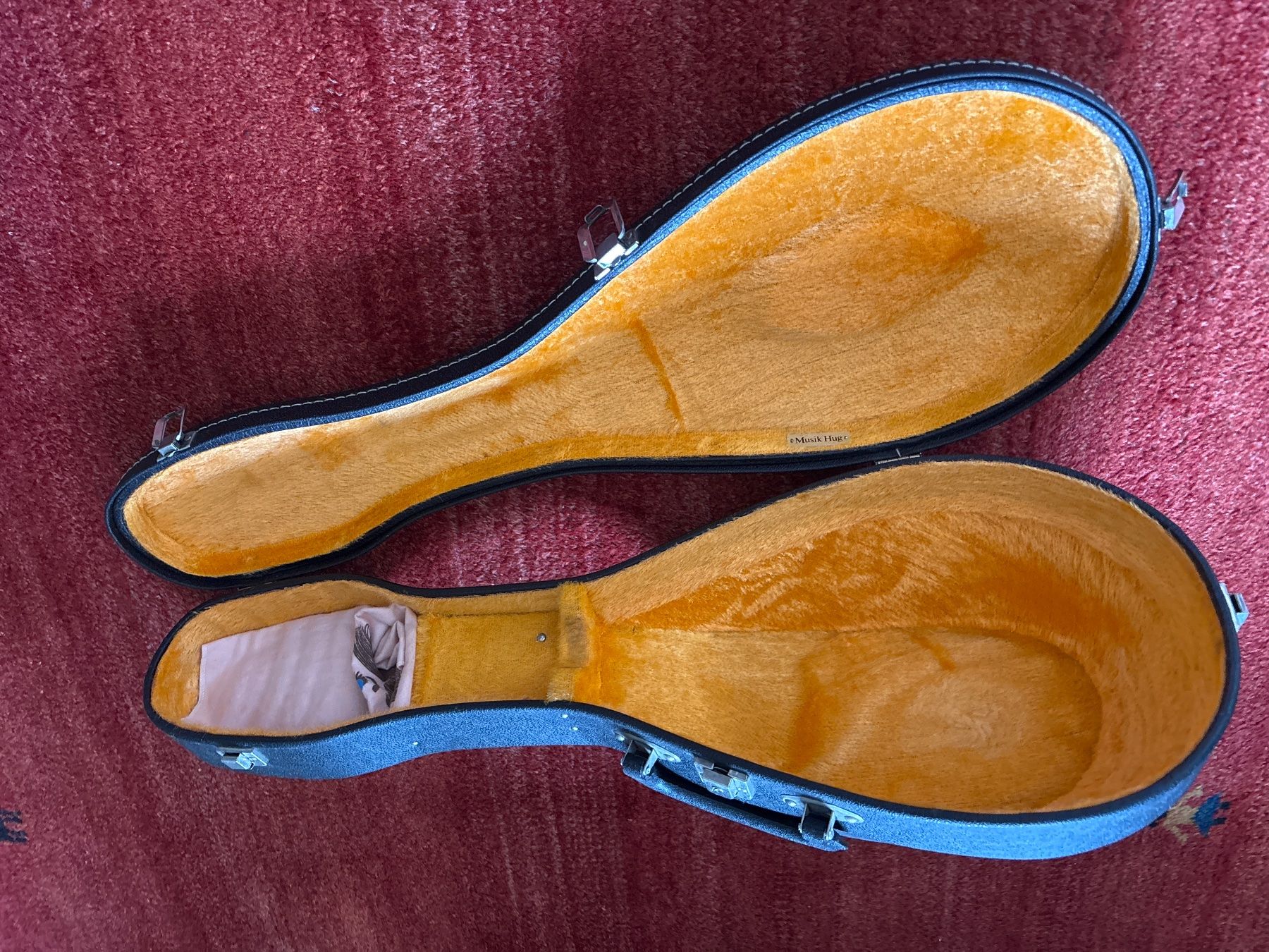 Strumenti musicali: Mandoline Musik Hug – Usato da Suhr venduto da star033 7