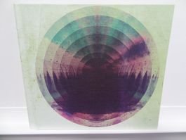 Fink - Hard Believer CD Album -