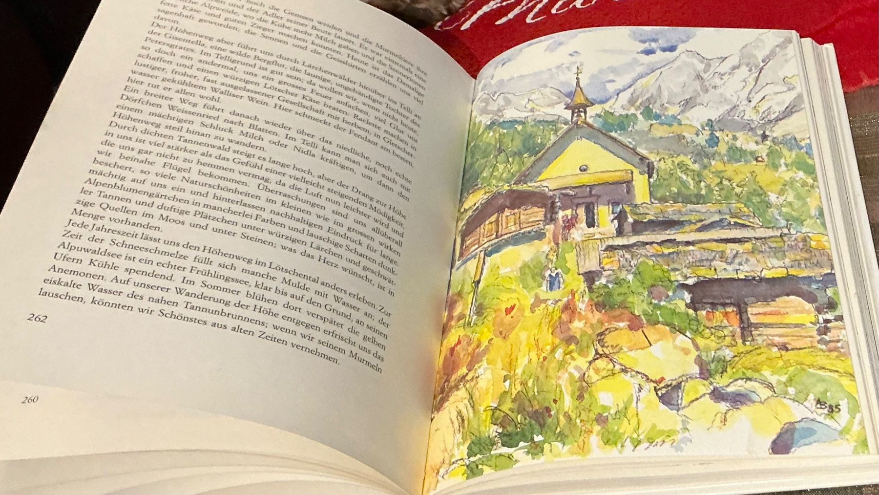Libri: Lötschental "Der Kanton Lötschen" sig H. Blötzer – Usato da Naters venduto da seidengut 6
