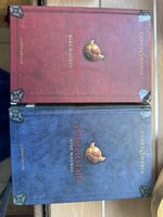 Fantasy Romane Mittelsturm Jenseitsfalle Mike Maurus 2 Stk