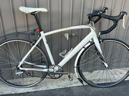 Specialized Secteur Sport Singlespeed ab 1.-