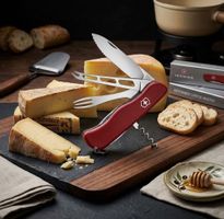 Victorinox Cheese Master Taschenmesser / Sackmesser