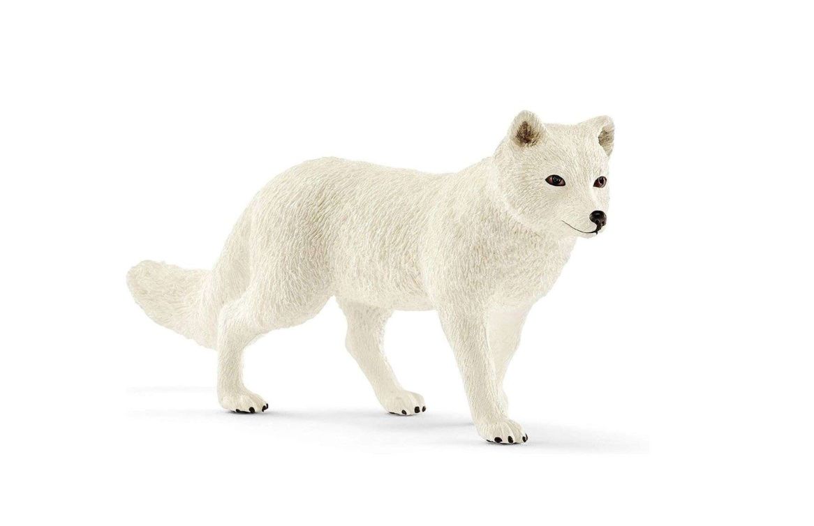 Schleich Giocattoli: Schleich 17024 - Wild Life - Polarfuchs – Nuovo e nell'imballaggio originale da Wagenhausen venduto da M.Sieg