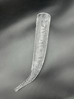 Vintage Bohemia Crystal Horn Glass