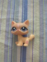 littlest pet shop Katze