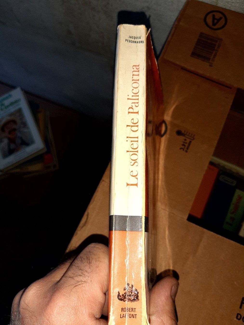 Libri: le soleil de palicorna – Usato da Le locle venduto da juliensaran 1