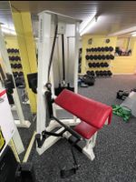 Gym80 Bizepsmaschine