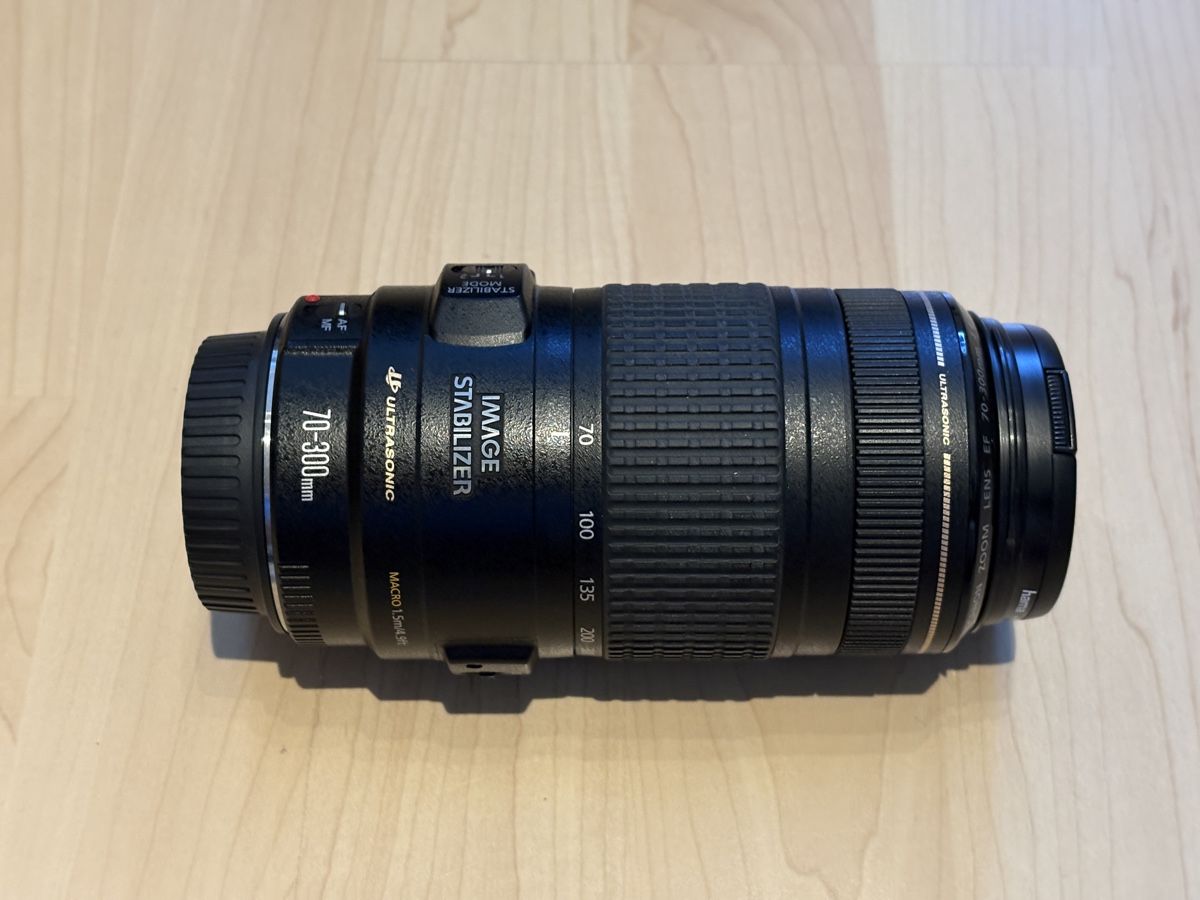 Canon Obiettivi: Canon EF 70-300 mm – Usato da Worben venduto da snoopdoggy_snoop
