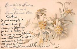 SOUVENIR de GENEVE - Pharmacie Finck 1910 Litho