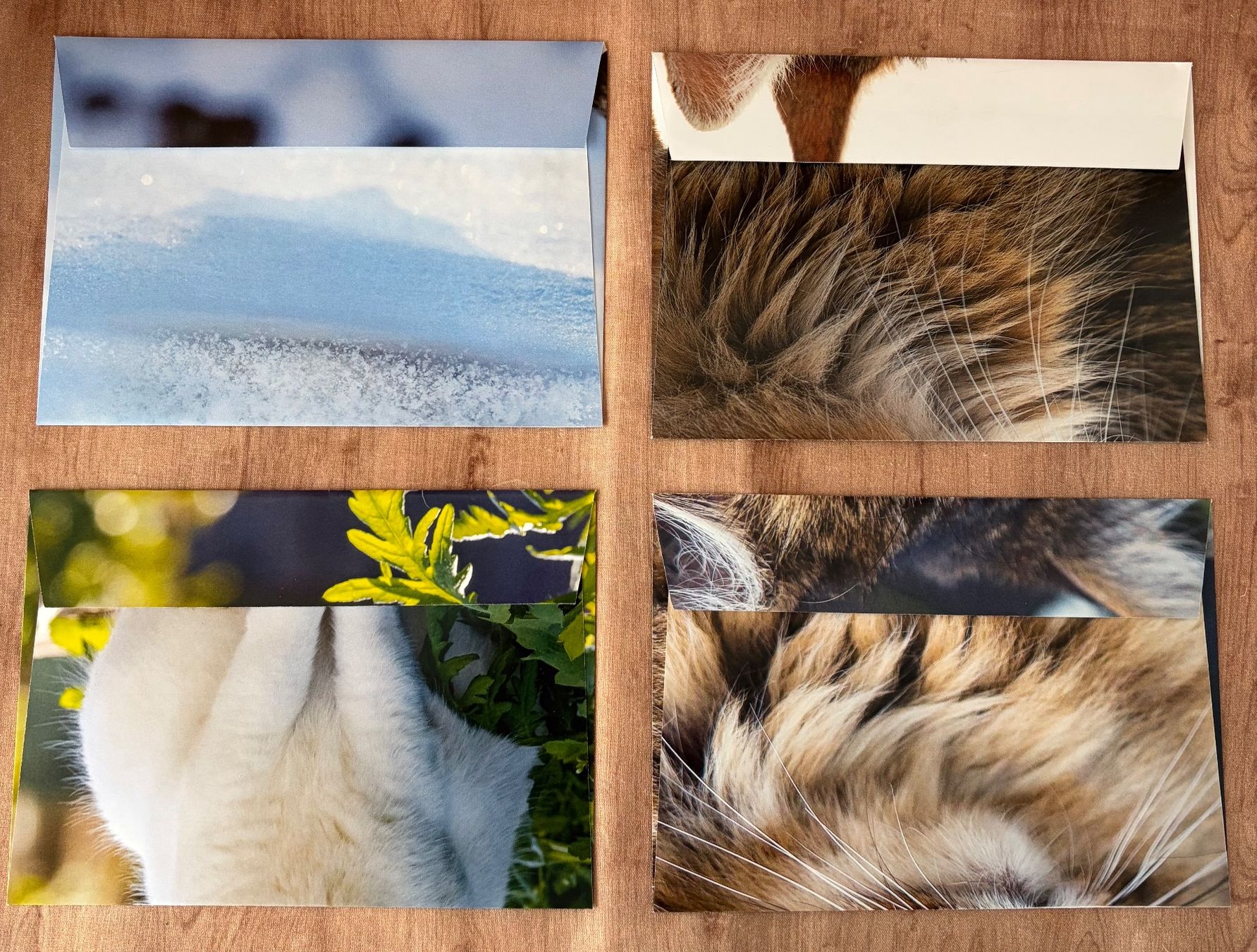 Papiere: 4 C6-Couverts im Set: Katzen / Upcycling – Neu (gemäss Beschreibung) aus Baar von Schreibseele 1