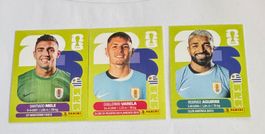 Panini FIFA World Cup WM 2026 - URUGUAY - URU 3 - 8 - 19