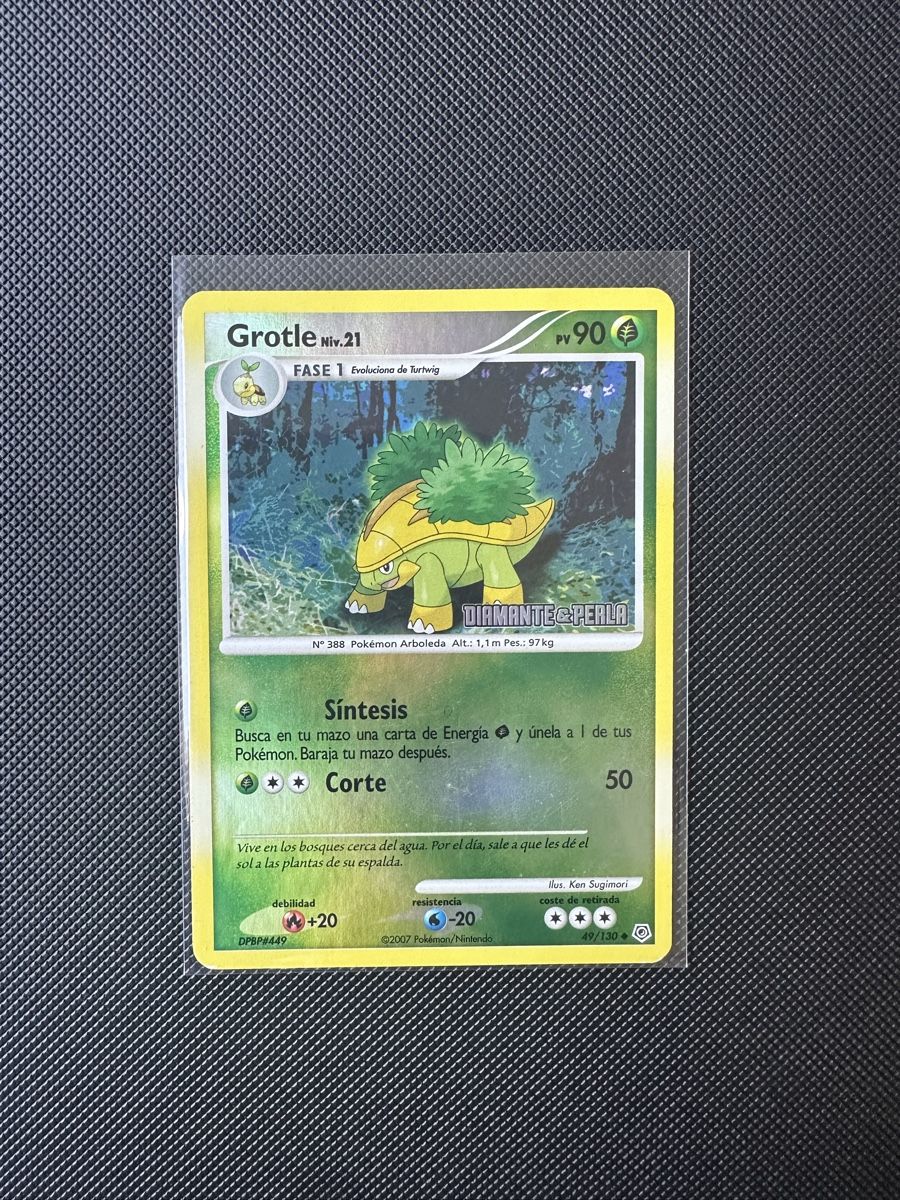 Pokémon Carte collezionabili: Grotle - Pokemon  BurgerKing Promo - 49 ES – Usato da Möhlin venduto da ChariShop-TCG
