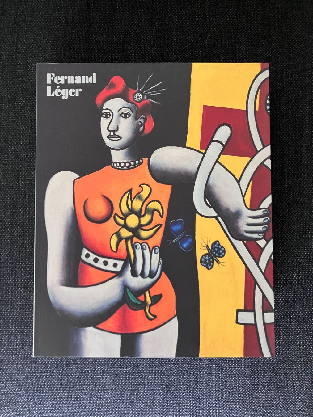 Libri: Fernand Léger - Monografie – Nuovo (secondo la descrizione) da Adliswil venduto da lauryyrual