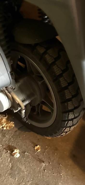 Topcase: Honda SES125 Dylan Roller mit Topcase – Usato da Grünenmatt venduto da Loewen2 1