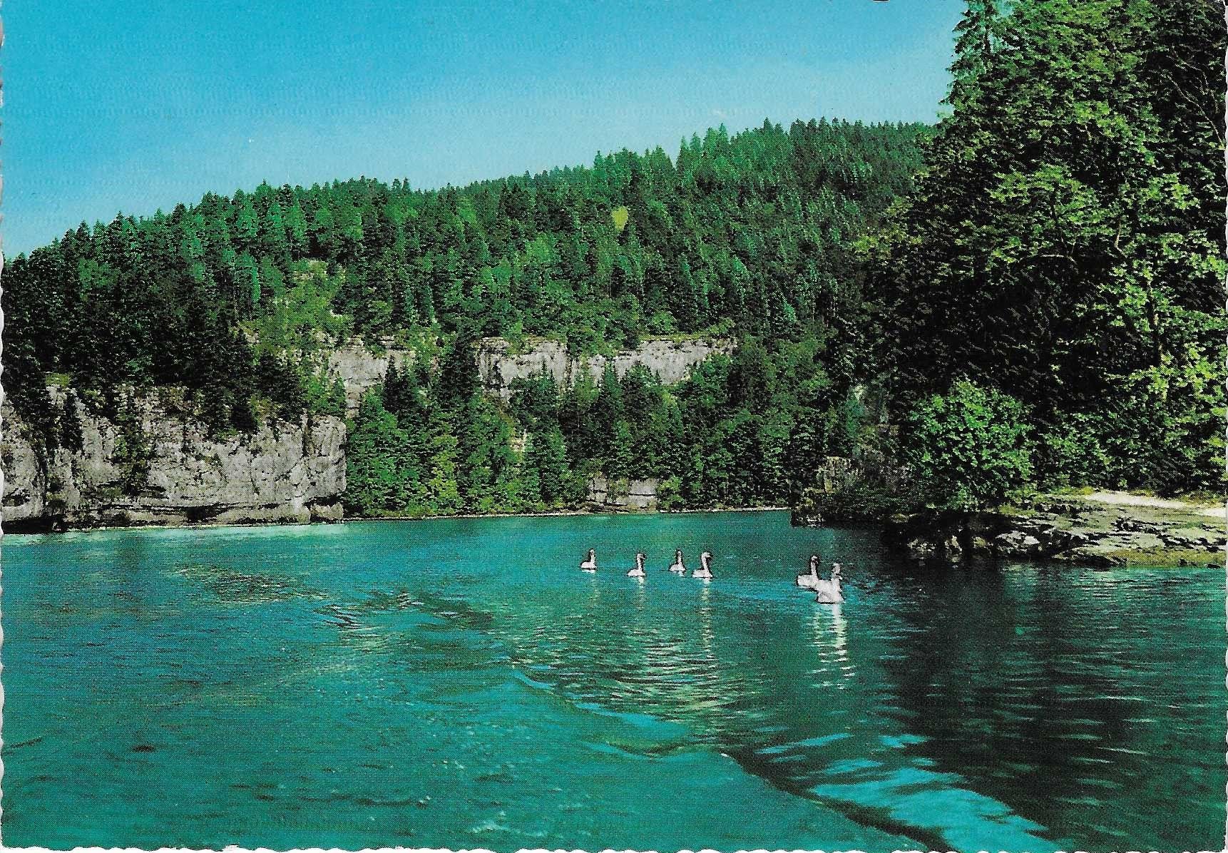 Cartoline postali: Echo-Felsen am Doubs JU – Nuovo (secondo la descrizione) da Rothrist venduto da Stranglehold