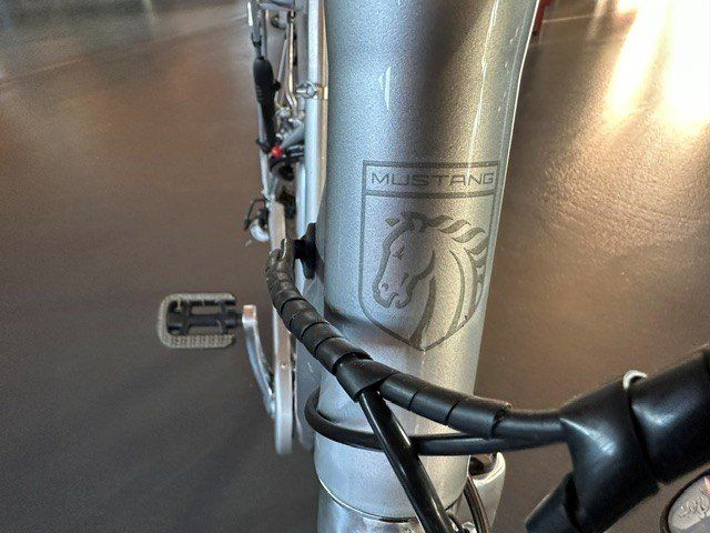 Bionx Velos: Mustang BionX E-Metro E-Citybike – Defekt aus Dottikon von robse 4