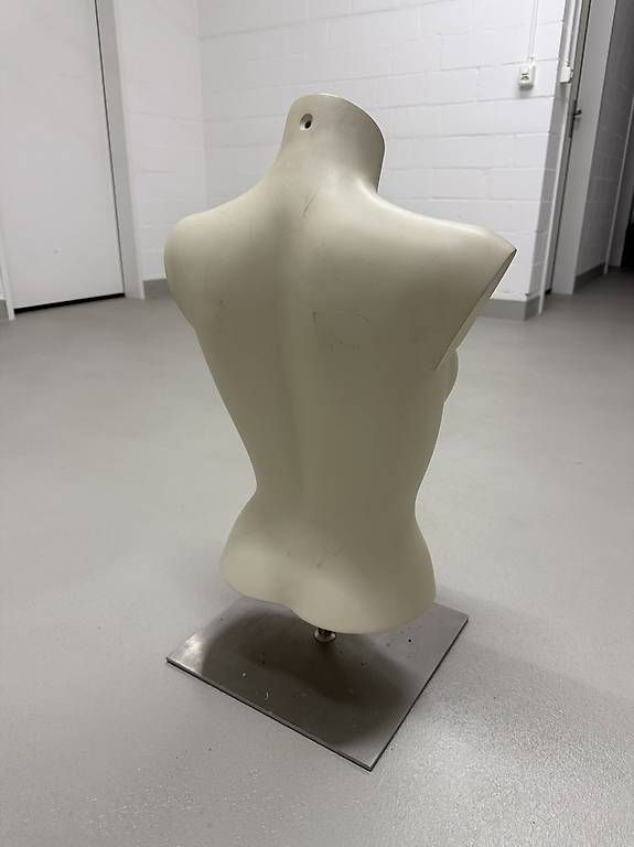 Autres décorations & accessoires: Torso mit Ständer – D'occasion à Fislisbach par dreams02 1