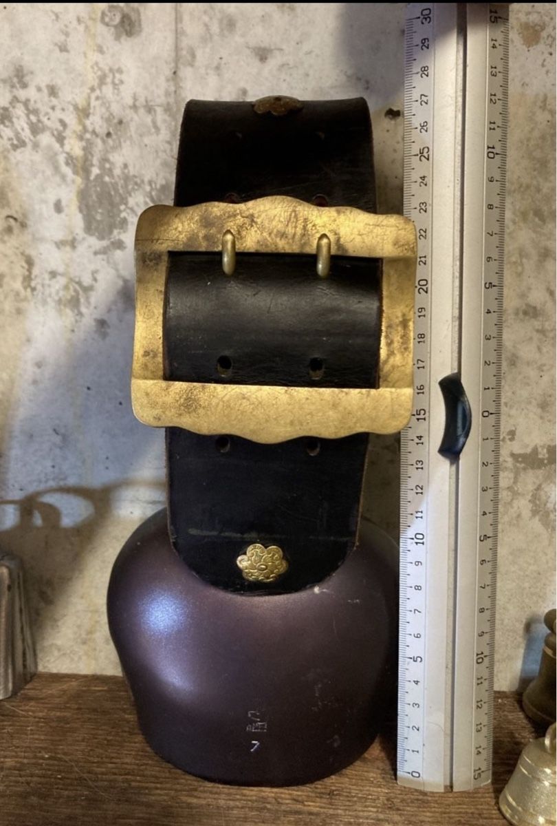 Campanacci mucche: varone permana Nr. 7 – Usato da Stein AR venduto da sch_67pf 4