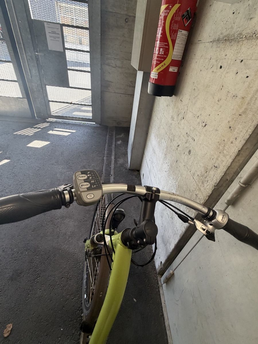 Flyer Velos: Elektrovelo Flyer  – Gebraucht aus Kägiswil von rezha 4