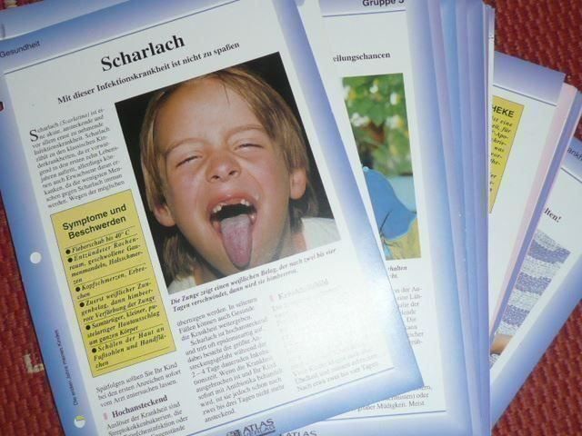 Libri: 5 x Bücher & Ratgeber Kinderkrankheiten – Usato da Zug venduto da falama 4