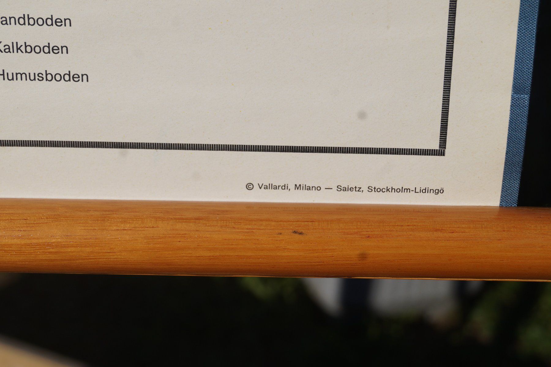 Foto & Immagini: Schulwandbild "Samen und Böden" #f4 – Usato da Härkingen venduto da sammelbecken 3