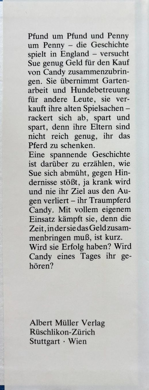 Libri: Susan und ihr Traumpferd – Nuovo (secondo la descrizione) da Sarnen venduto da Livres 2