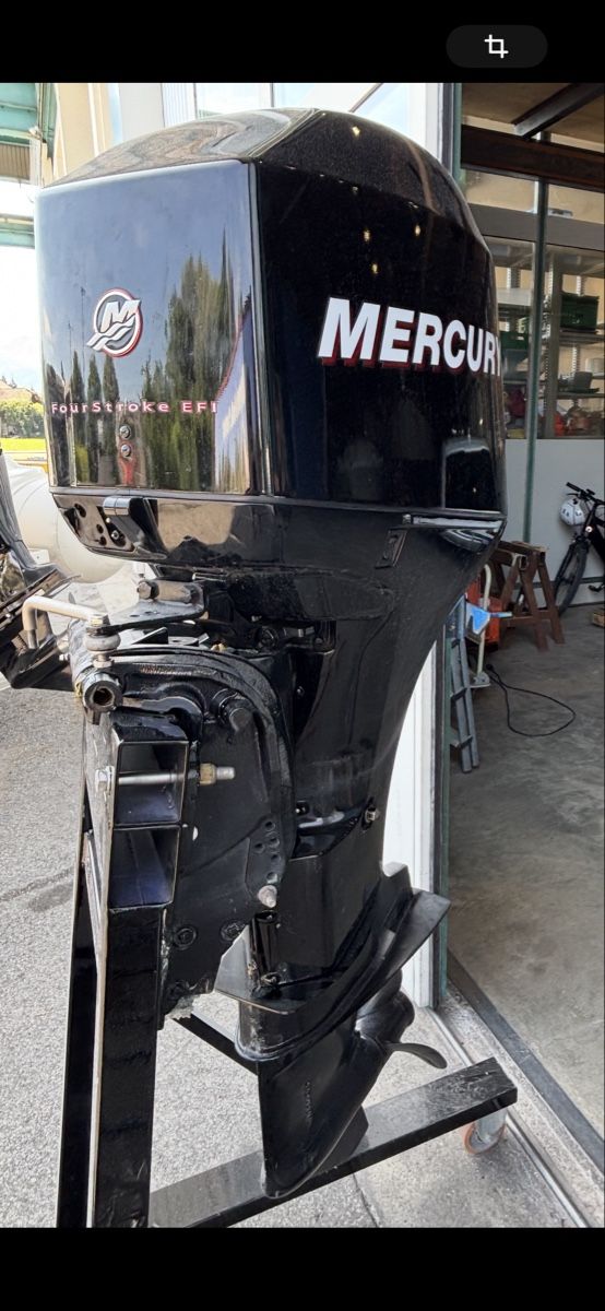 Mercury Motori: Aussenbordmotor Mercury 60 ps ab 1.- – Usato da Lengnau BE venduto da riz007 1