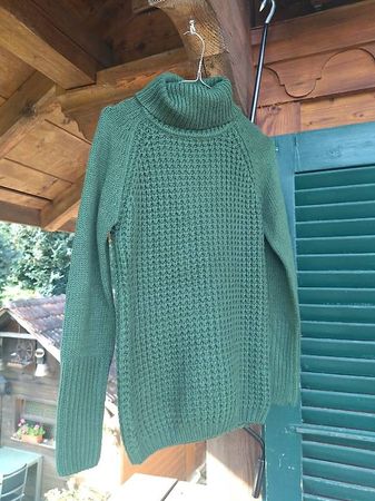 Chicorée Basic Rollneck Knit Sweater